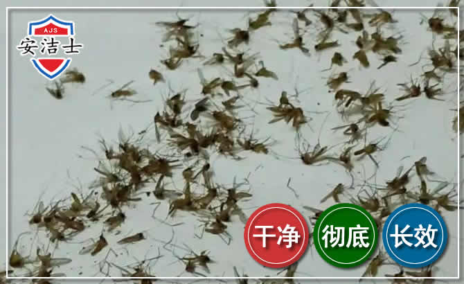 美兰区苍蝇防治-灭蝇