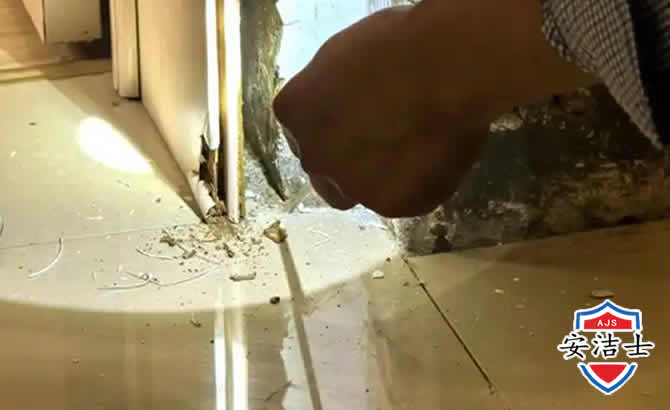 美兰区房屋建筑防治白蚁