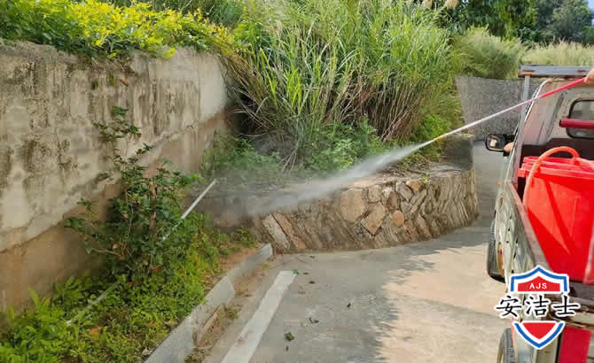 美兰区道路堤坝白蚁防治