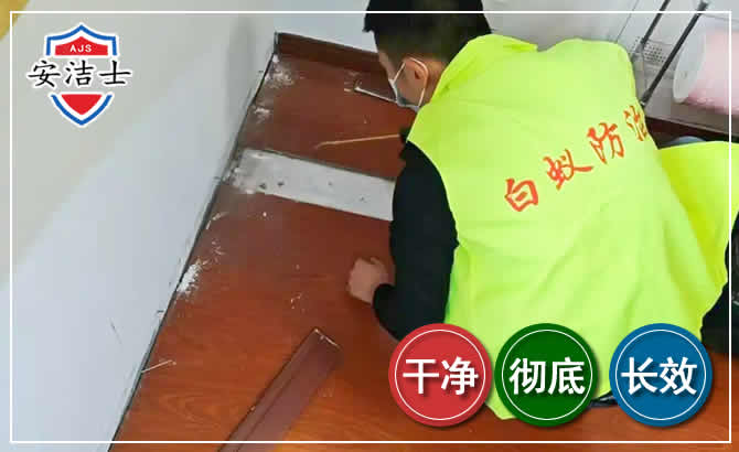 美兰区除四害现场