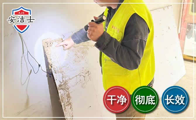 美兰区除白蚁现场